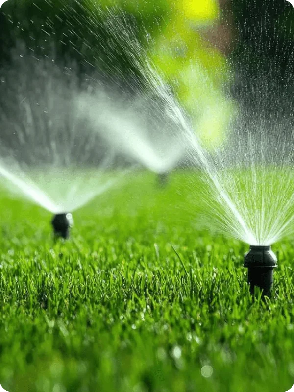 Lắp đặt hệ thống tưới tự động & chăm sóc cây trọn gói