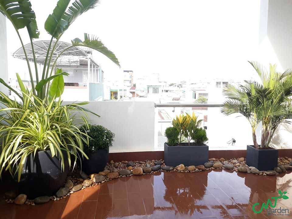 Dịch vụ thi công sân vườn tại Đà Nẵng