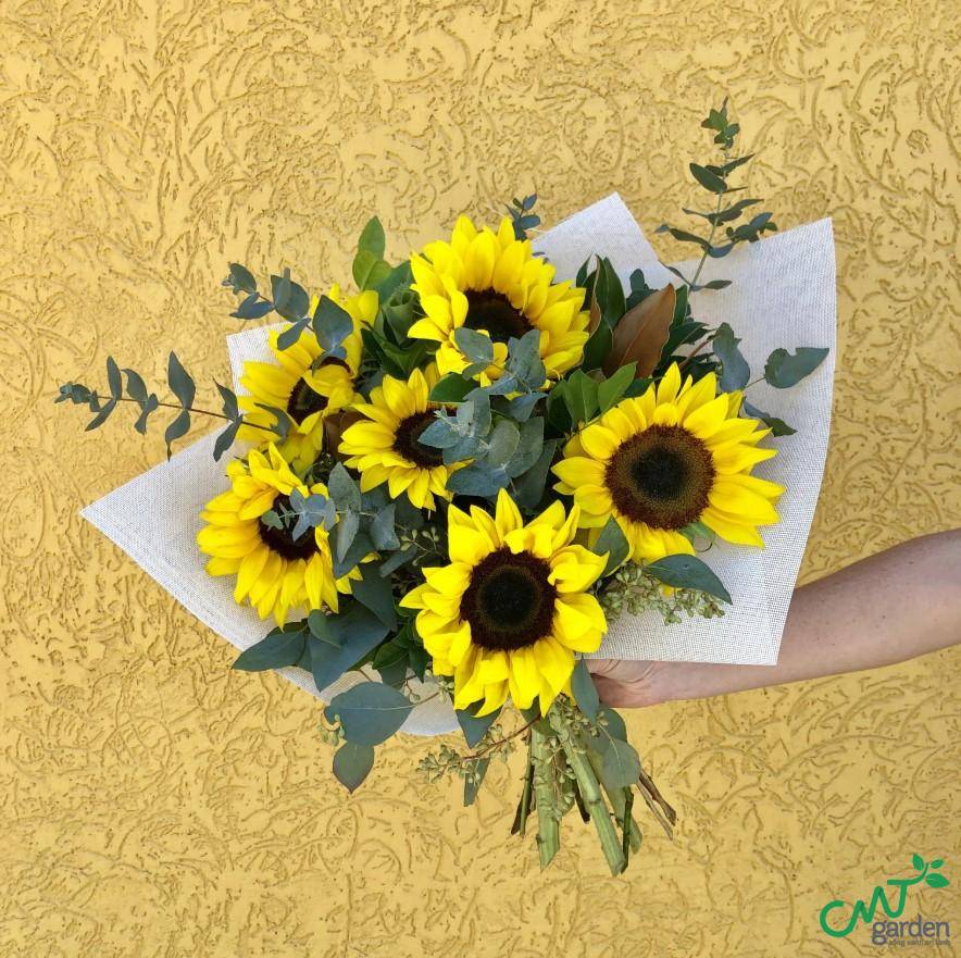 Trong tình yêu, hoa hướng dương tượng trưng cho sự chung thủy, tình yêu thầm lặng, sự ấm áp, chân thành