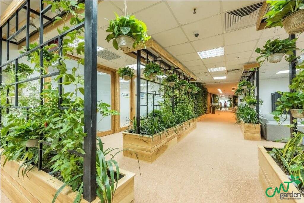 Cây xanh giúp văn phòng trở nên tươi xanh và mát mẻ