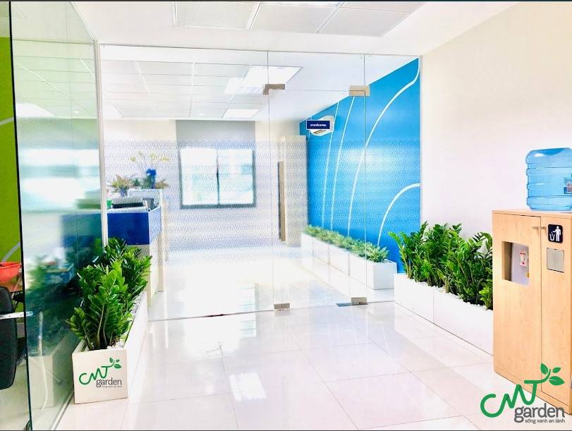 Cây xanh cho thuê CMT Garden luôn tươi xanh 4 mùa